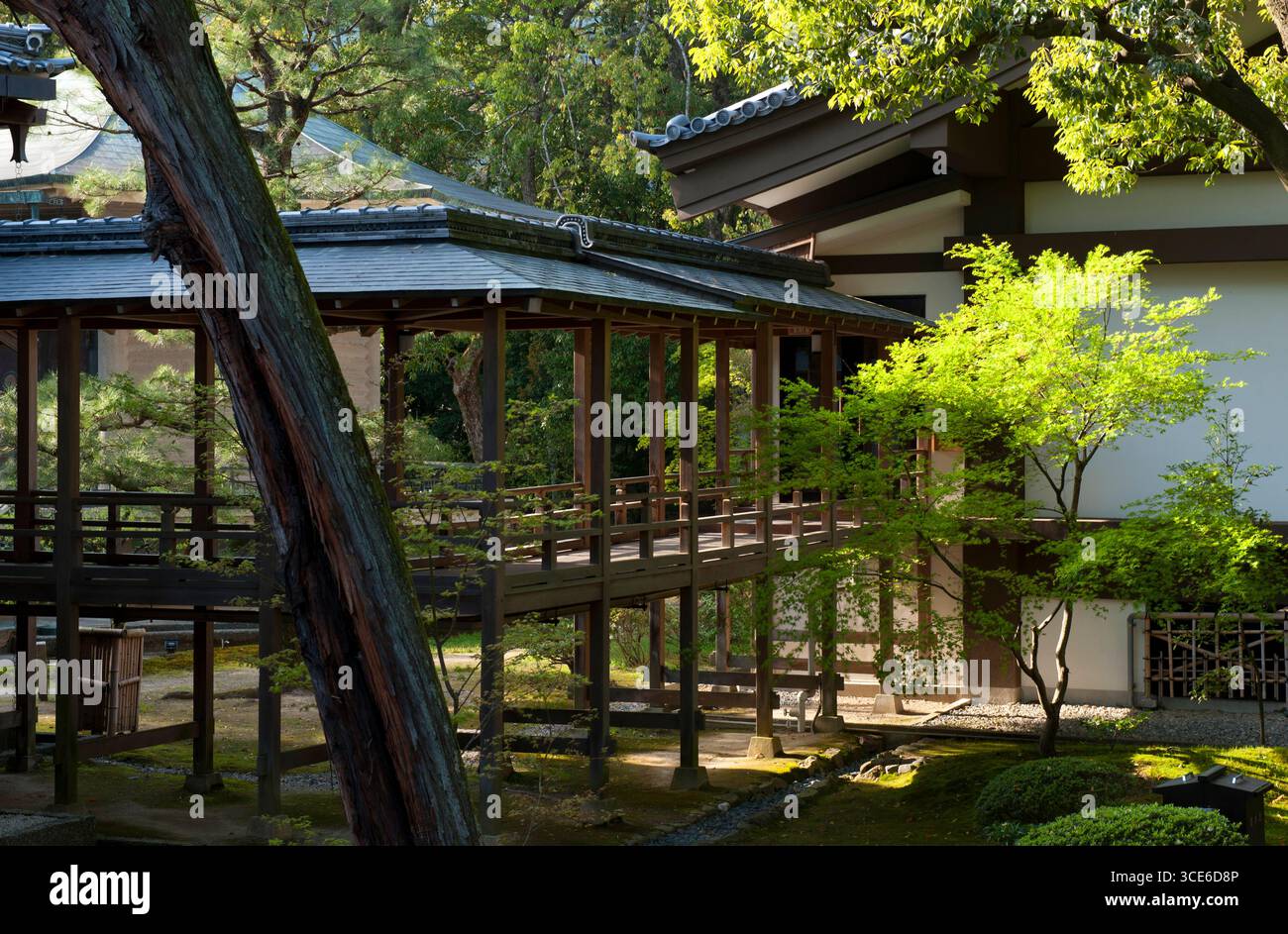 Murasame-no-roka (村雨の廊下 ?) couloir couvert avec plafond bas et « sol nocturne » alertes aux intrus qui produisent des épées, Daikakuji, Kyoto, Japon. Banque D'Images