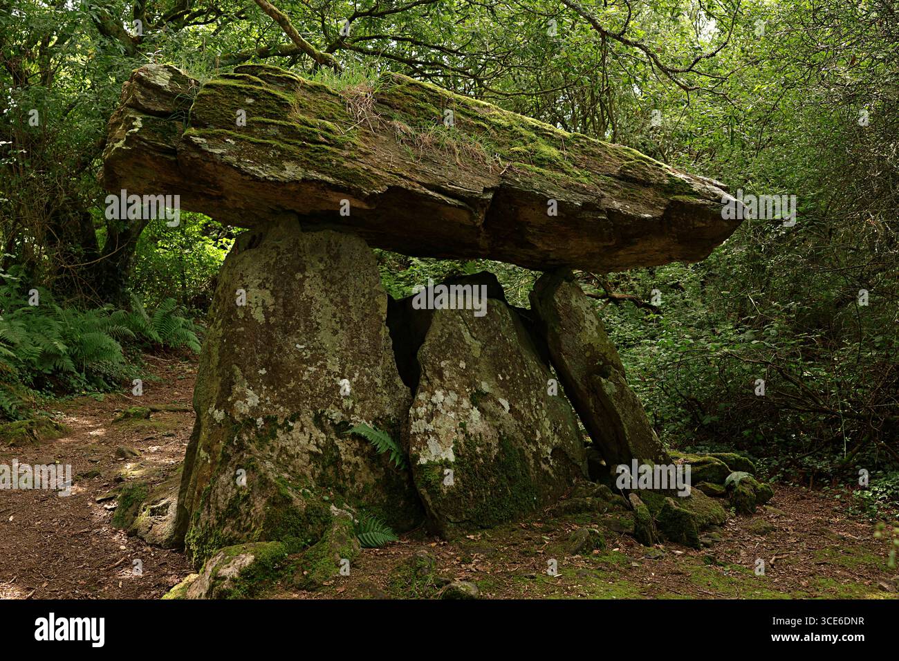 Dolmen Stones, une tombe préhistorique de 3500 av. J.-C. Gaulstown, Co. Waterford, Irlande Banque D'Images