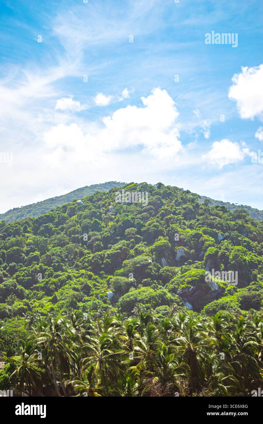 Collines verdoyantes et palmiers sous un ciel bleu vif dans Tayrona Park, Santa Marta, Colombie. Banque D'Images