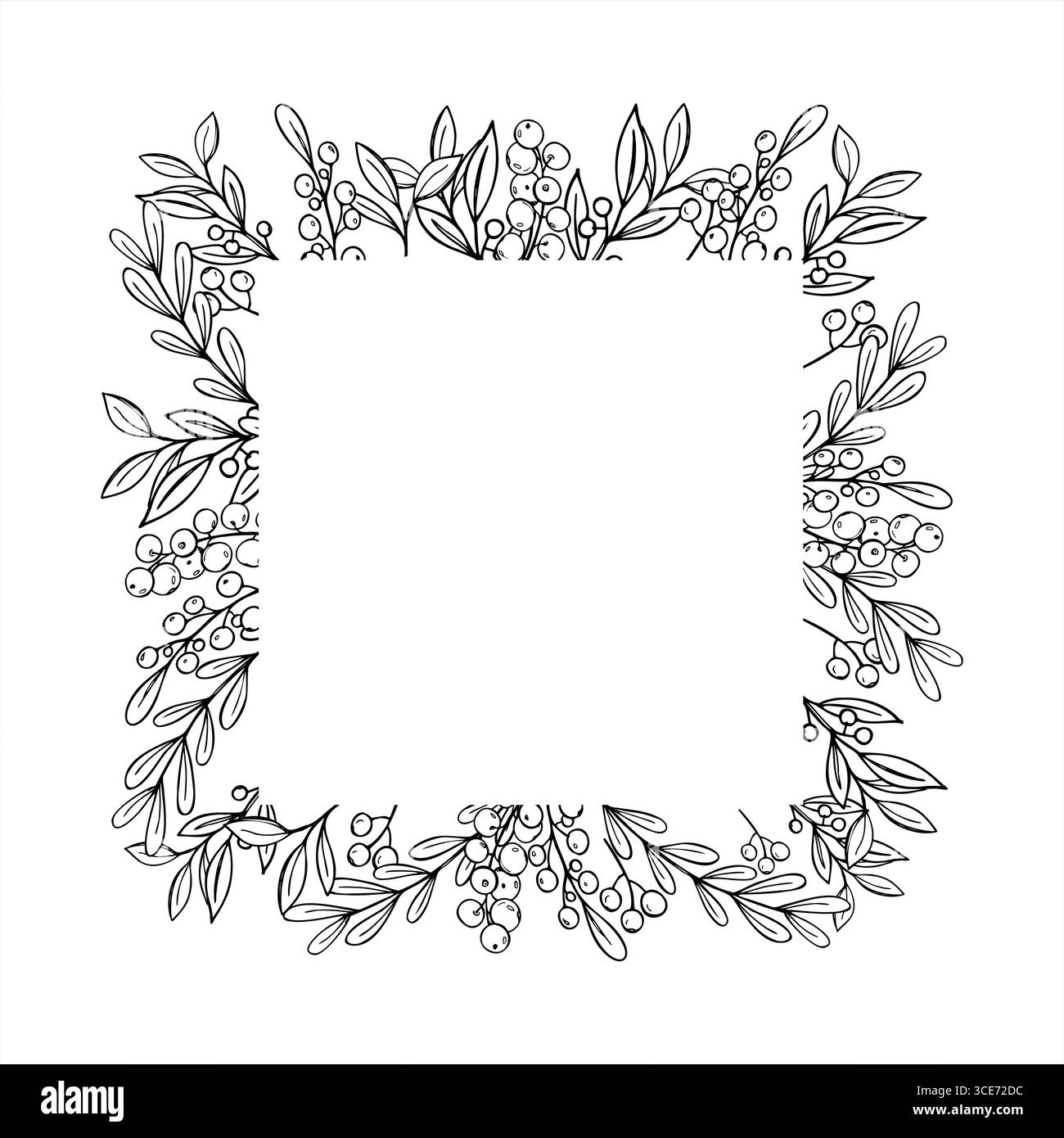 feuillage persistant monochrome avec cadre carré de vecteur de baies avec espace vide pour le texte. Bordure de plante Pyracantha. Modèle floral pour Noël Illustration de Vecteur