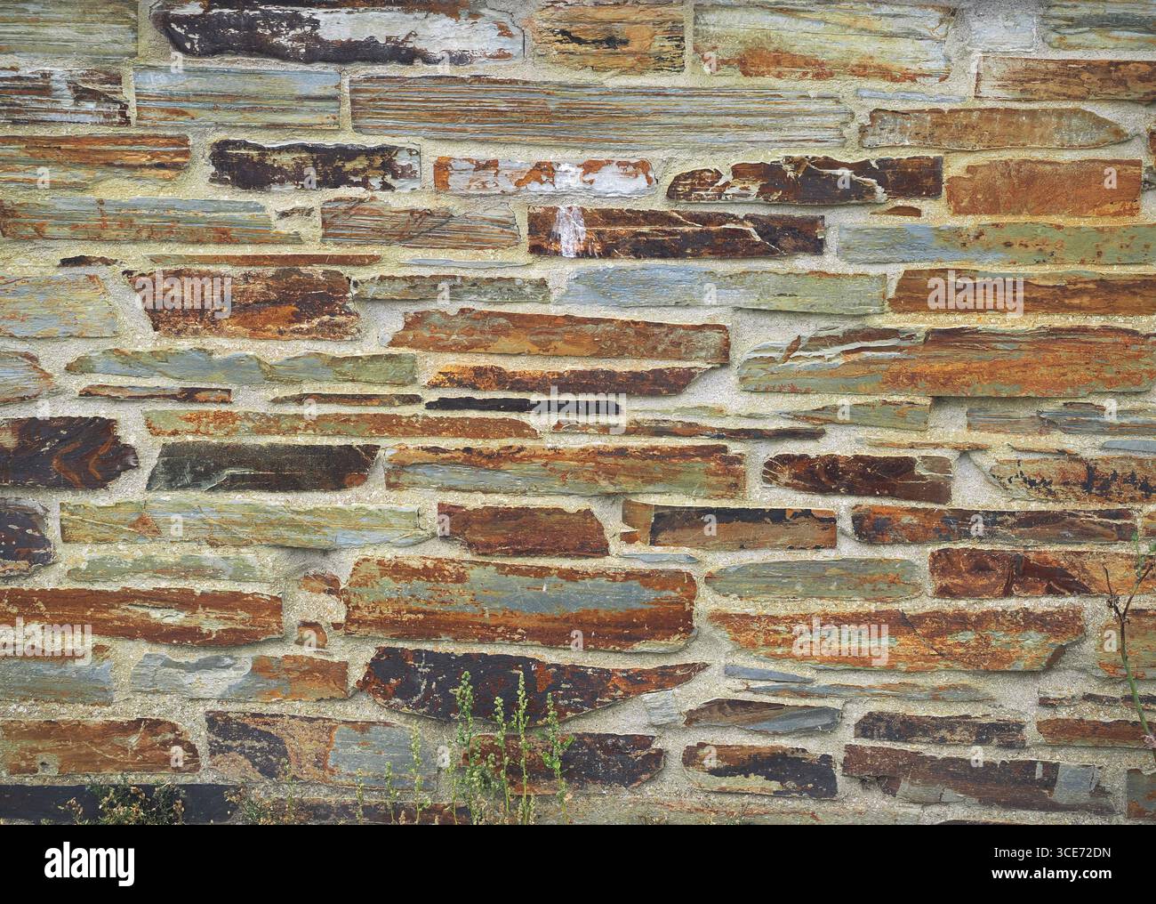 Mur de pierre ou d'ardoise de Cornouailles à Port Isaac, ancien village de pêcheurs en Cornouailles Banque D'Images