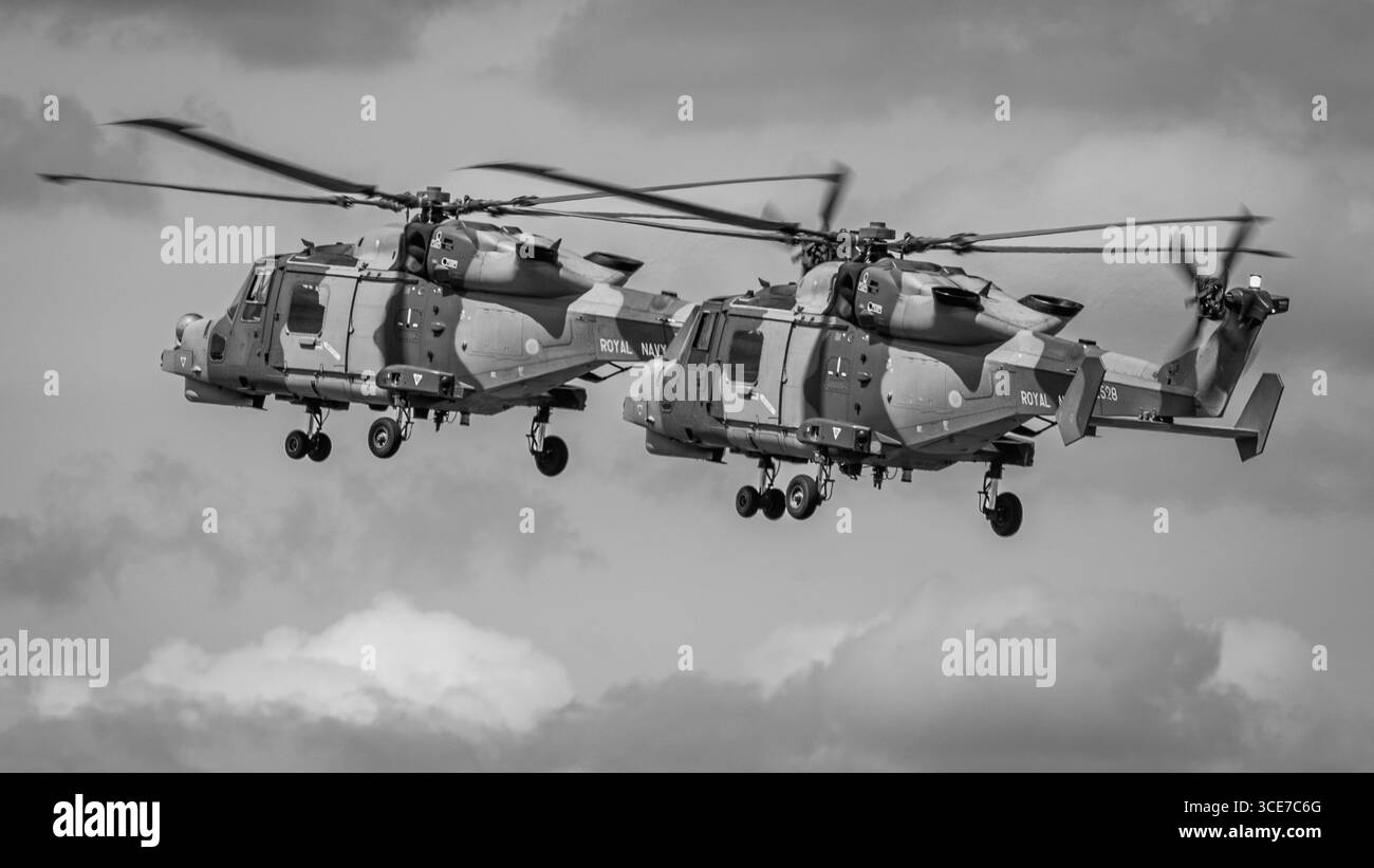 Royal Navy Fleet Air Arm - Leonardo Wildcat HMA2 se produisant au Royal International Air Tattoo 2025. Banque D'Images