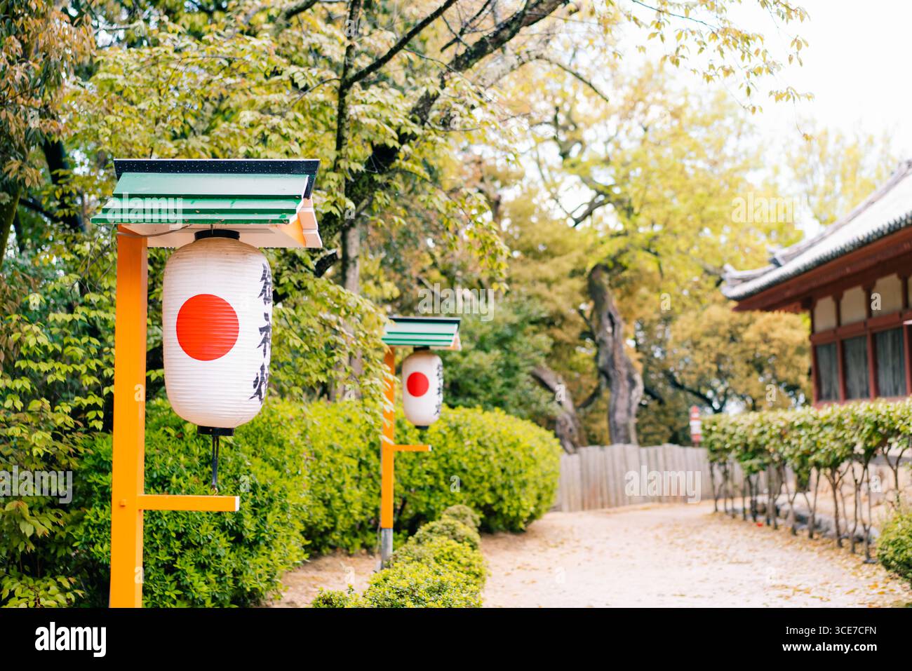 Matsuyama, Japon - le 22 mai 2025 le Honden de la salle principale d'Isaniwa Jinja, un sanctuaire shinto dans la ville de Matsuyama. Photo de haute qualité Banque D'Images