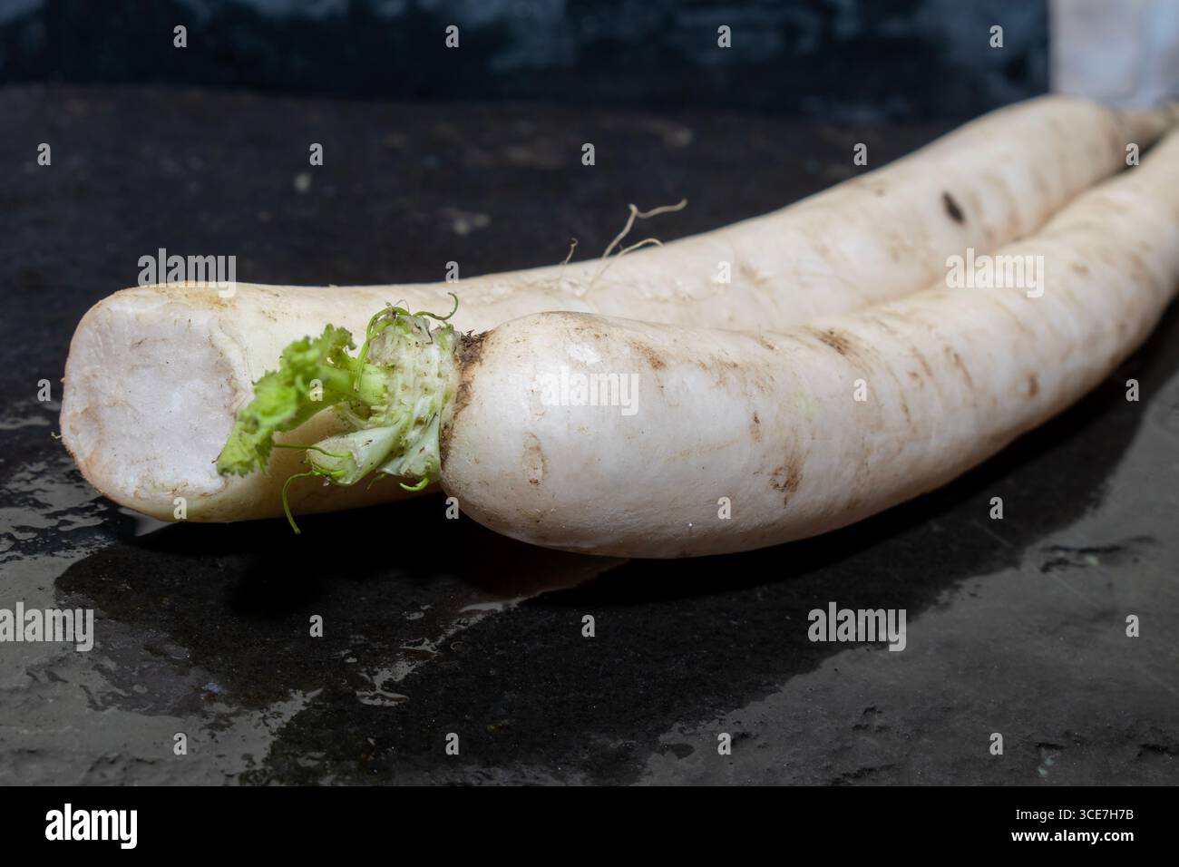 Radis daikon biologique frais sur fond noir Banque D'Images