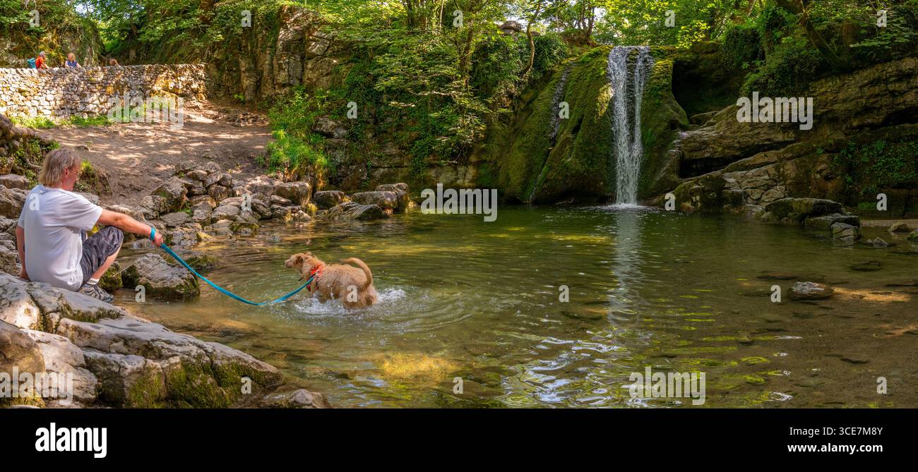 Homme et son chien de compagnie ayant un plongeon frais dans la piscine à Janet's Foss à Malham par une chaude journée d'été, Malham, North Yorkshire. Banque D'Images