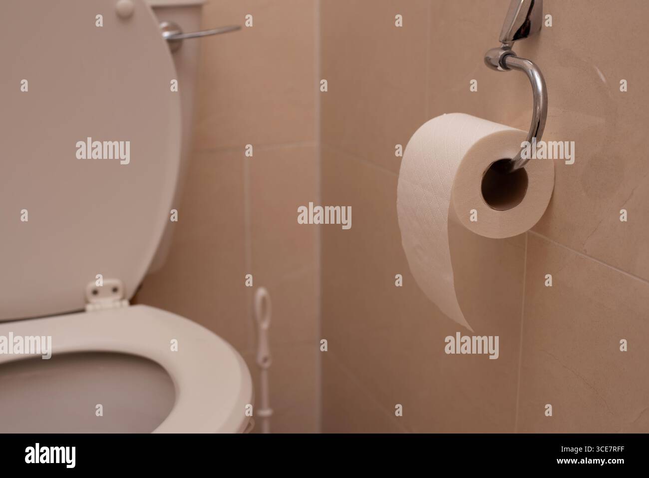 Rouleau de papier toilette. Salle de bain propre et contemporaine avec une toilette blanche et rouleau de papier toilette accroché soigneusement sur le mur, présentant un organisé Banque D'Images