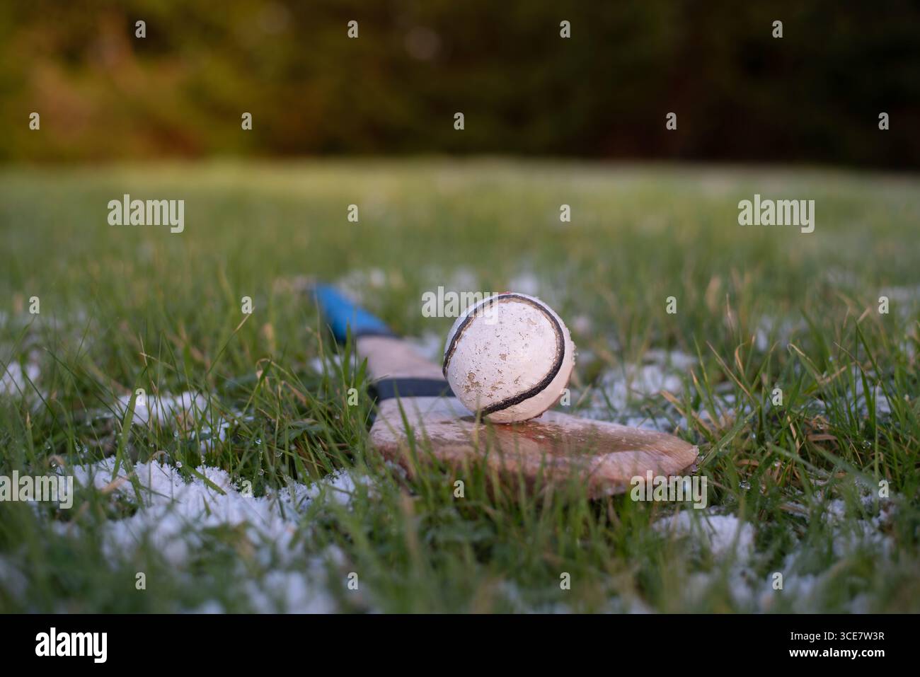 Lancer la balle et le bâton couché sur le terrain d'herbe dans la neige tôt le matin. Gros plan de l'équipement de hurling reposant sur un terrain d'herbe accentuant Banque D'Images