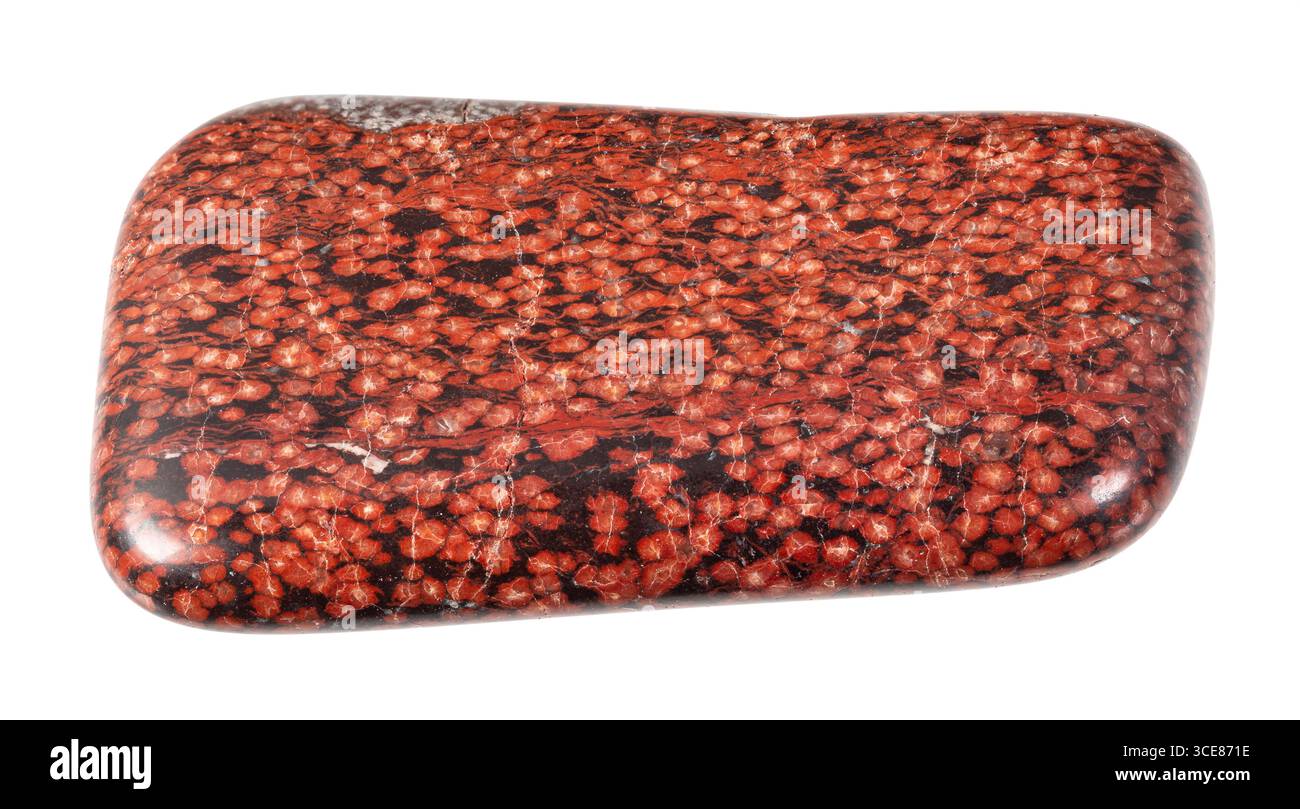 découpe minérale d'analcimolite polie naturelle sur fond blanc gros plan Banque D'Images