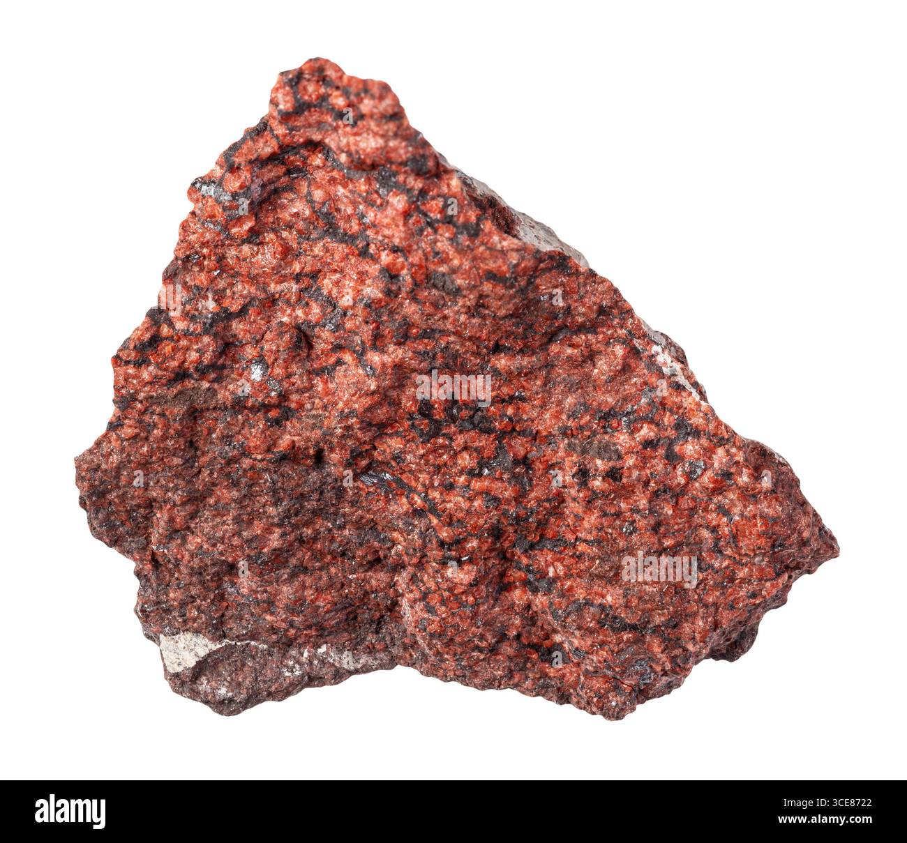 découpe naturelle de roche d'analcimolite crue sur fond blanc gros plan Banque D'Images