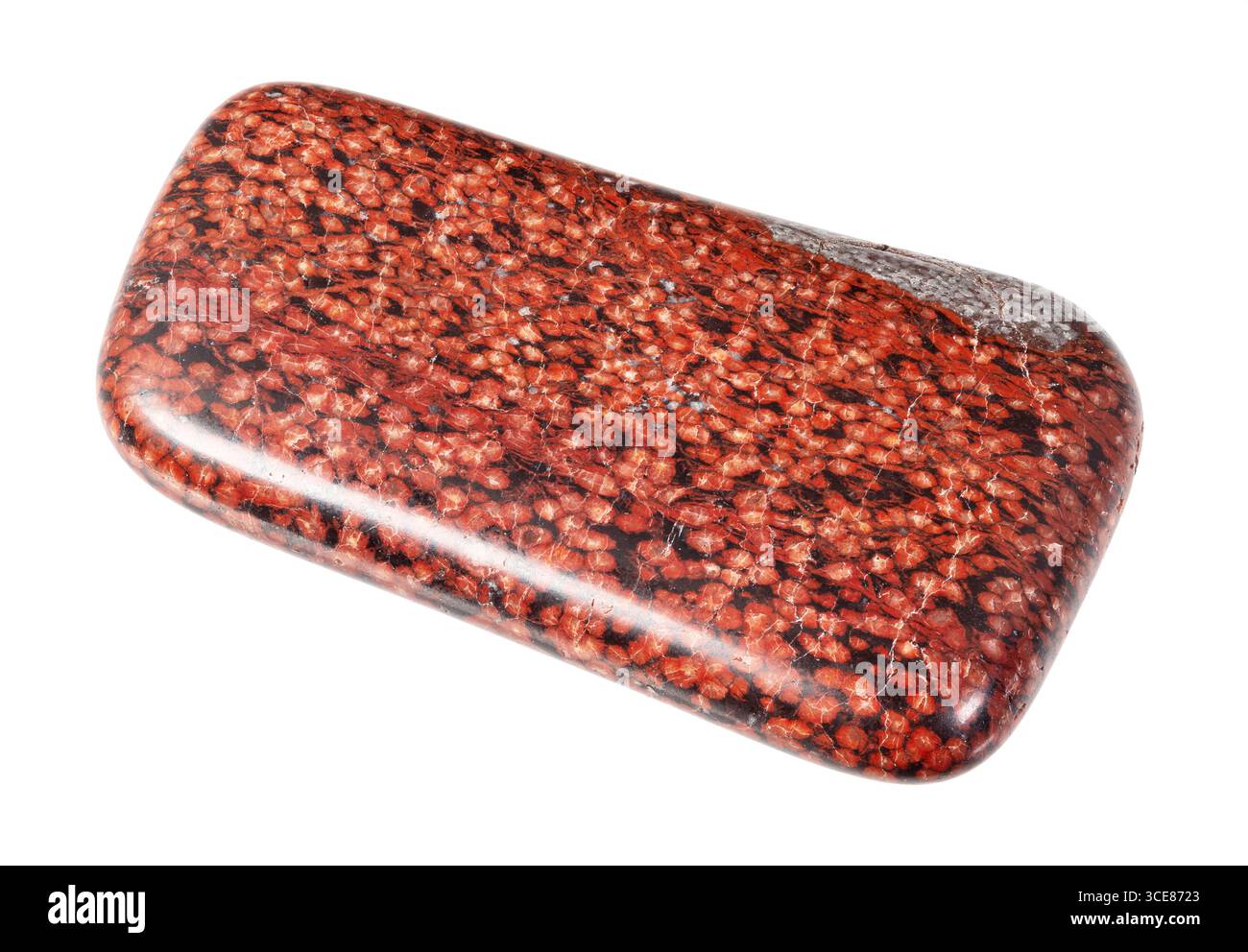 découpe naturelle de roche d'analcimolite polie sur fond blanc gros plan Banque D'Images