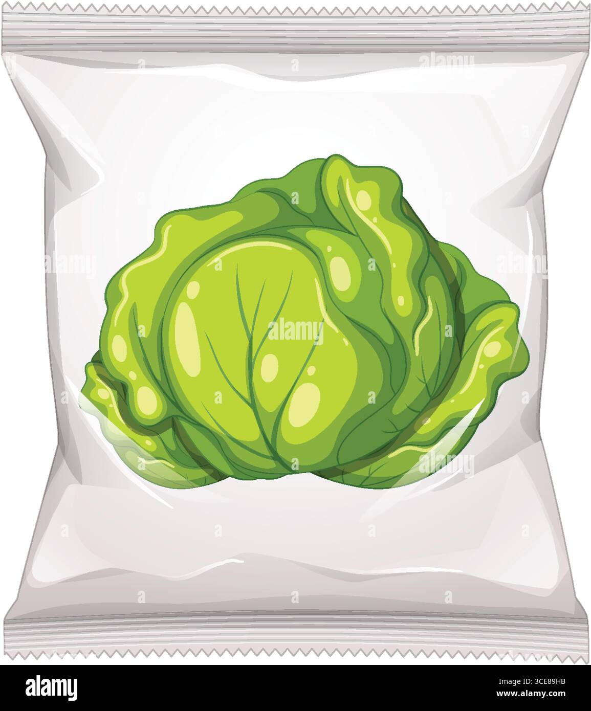 Illustration vectorielle d'une tête de chou vert imprimée sur un paquet de collation scellé et transparent. Les couleurs vives, les lignes épurées et les ombres réalistes s'améliorent Illustration de Vecteur