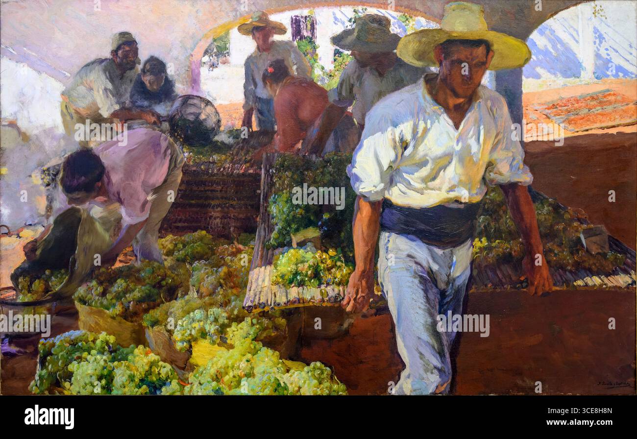 JOAQUIN SOROLLA (1863-1923) Transportando la uva (transport des raisins) 1900. huile sur toile Banque D'Images