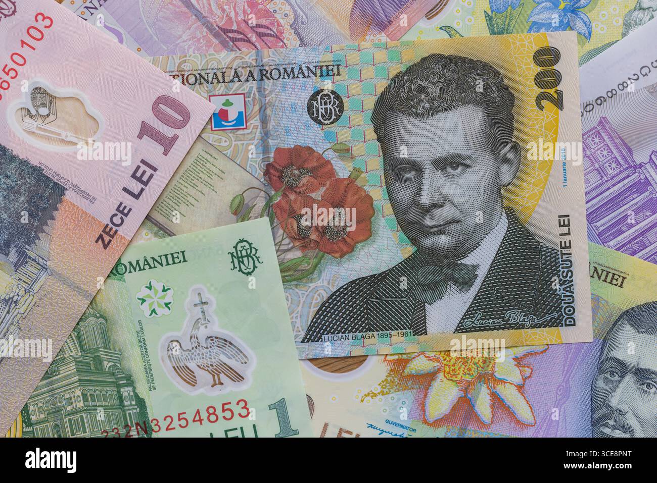 Une composition à plat de billets de banque roumains Leu Banque D'Images