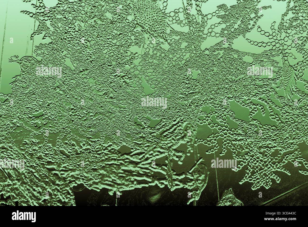 Texture abstraite verte givrée avec des motifs en relief. Photo de haute qualité Banque D'Images