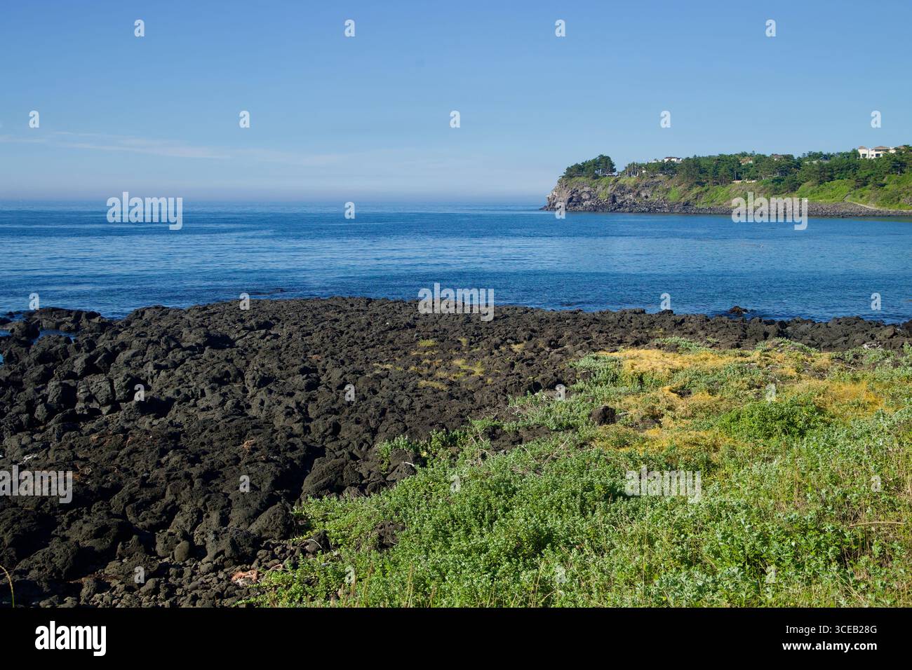 Une table de pique-nique en bord de mer et des tabourets sont assis à côté de roches de lave noires sur une clairière herbeuse, la route du promontoire et les grues portuaires lointaines brumeuses sur l'eau. Banque D'Images