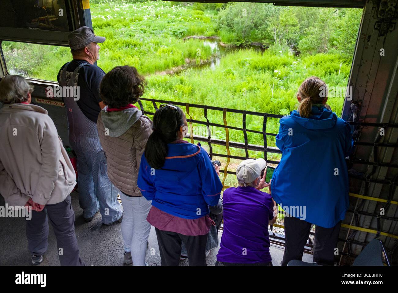 Les passagers à la porte ouverte à la faune de l'Alaska à partir de la cargaison à l'intérieur de la voiture de l'Alaska Railroad Hurricane tour former United States last flag sto Banque D'Images