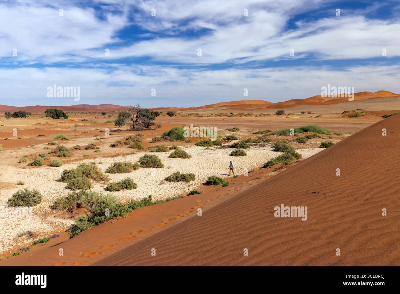 Paysage coloré dans le parc national Namib-Naukluft, Namibie, Afrique Banque D'Images