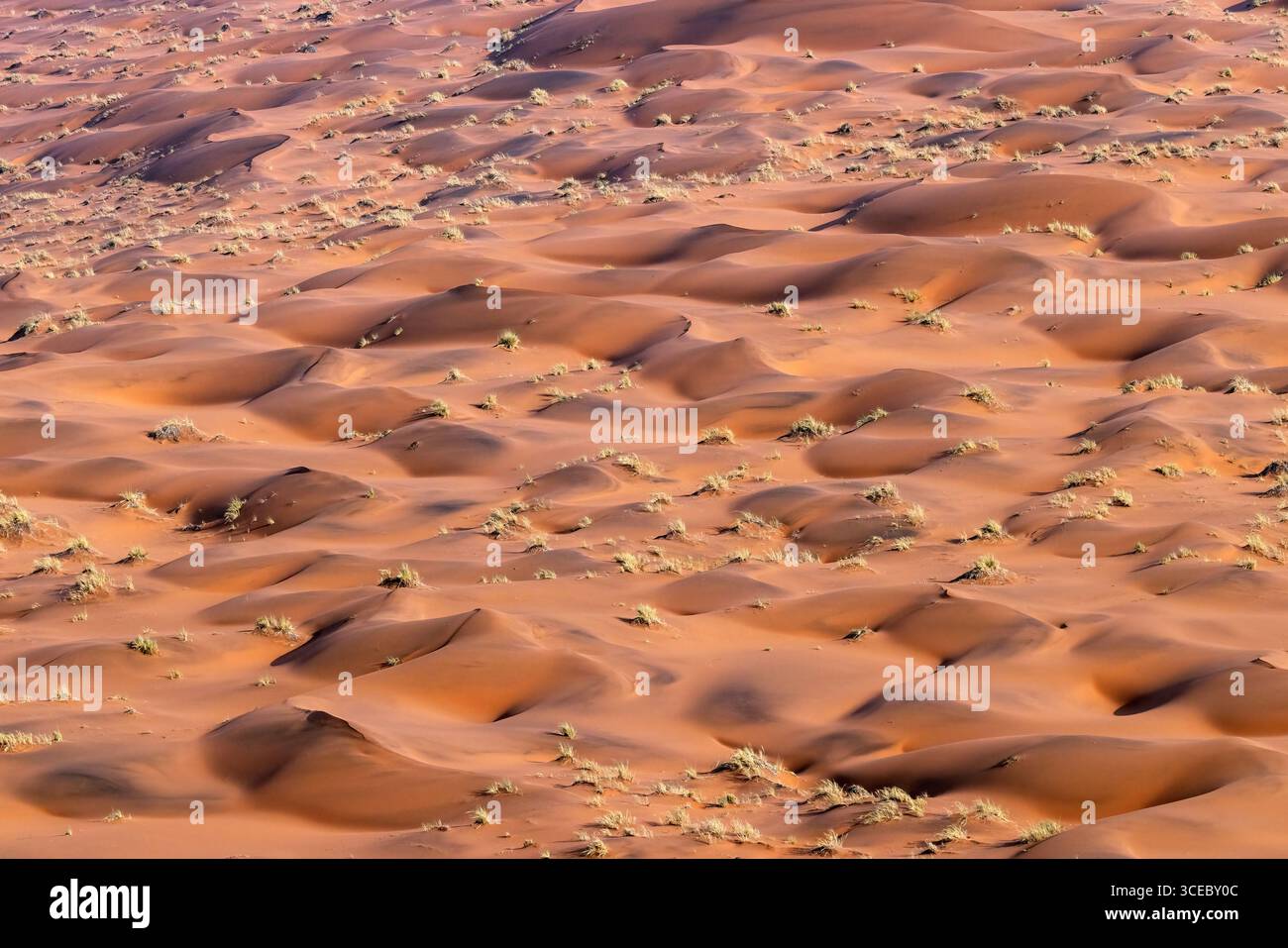 Vue aérienne d'anciennes dunes de sable dans le parc national Namib-Naukluft, Namibie, Afrique Banque D'Images