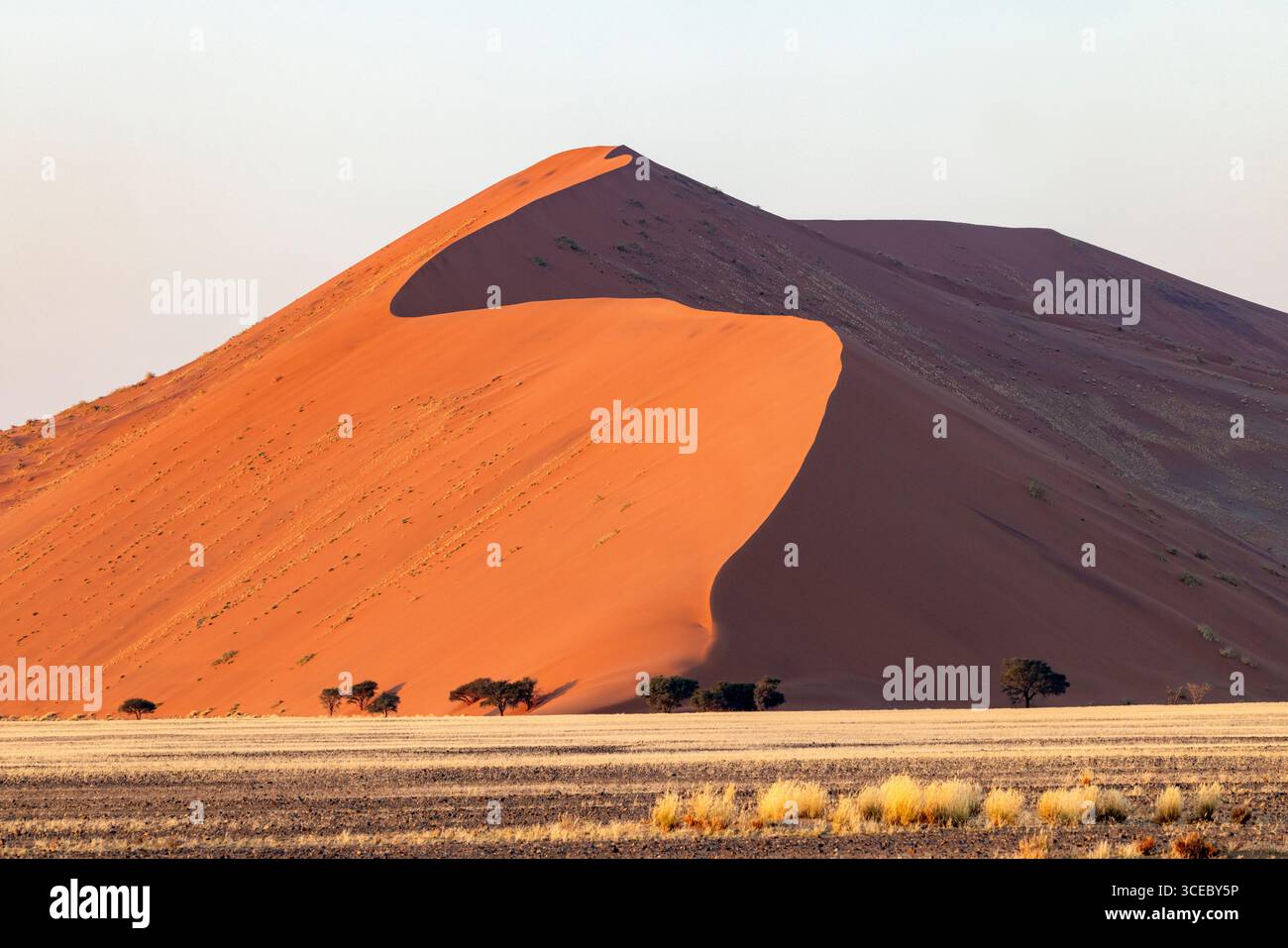 Épine dorsale emblématique des dunes étoilées dans le parc national Namib-Naukluft, Namibie, Afrique Banque D'Images