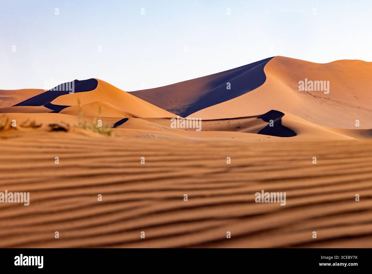 Dunes de sable extra-terrestres près de Sossusvlei dans le parc national Namib-Naukluft, Namibie, Afrique Banque D'Images