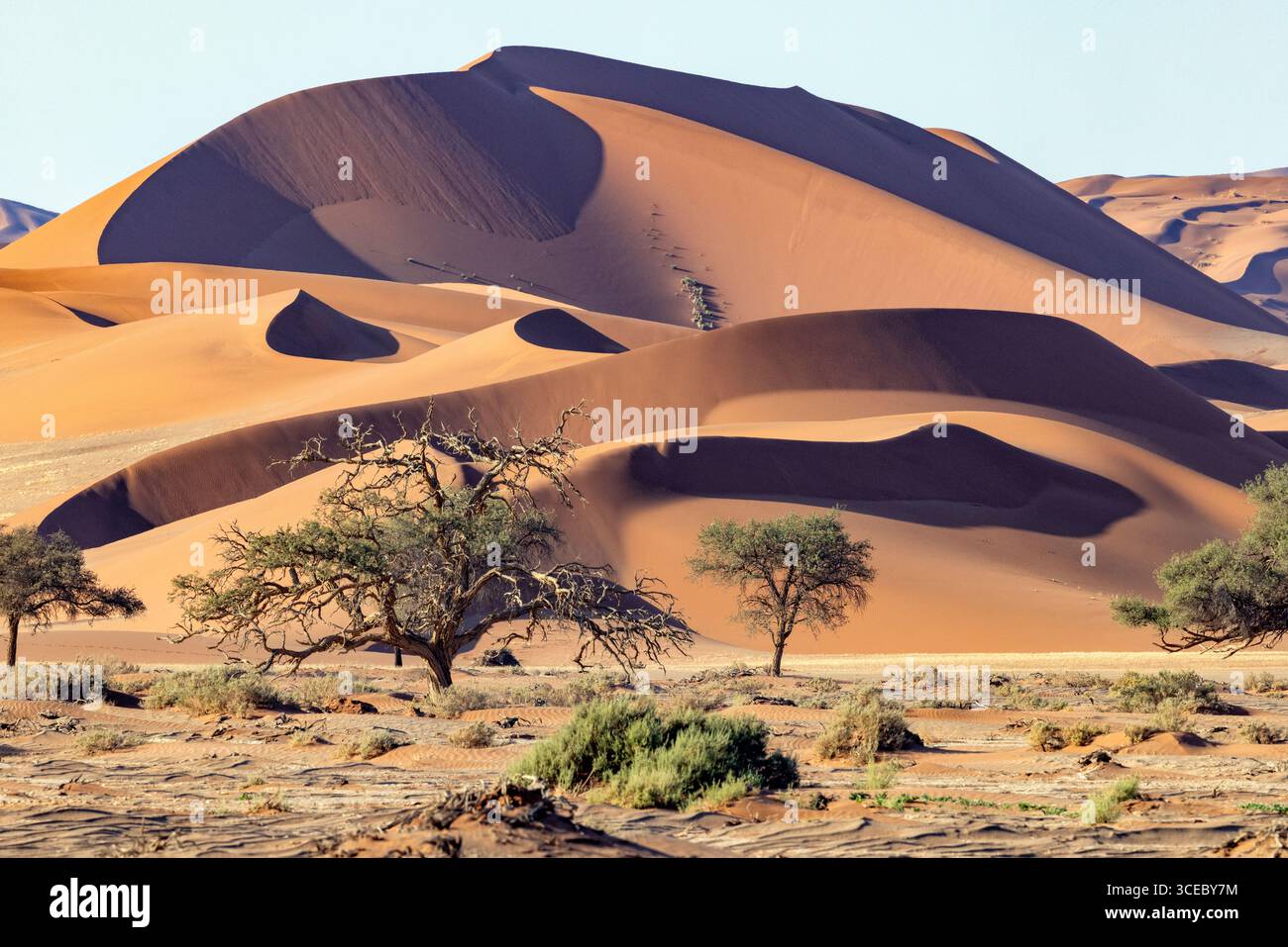 Dunes de sable extra-terrestres près de Sossusvlei dans le parc national Namib-Naukluft, Namibie, Afrique Banque D'Images