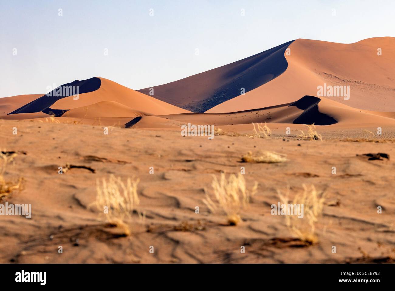 Dunes de sable extra-terrestres près de Sossusvlei dans le parc national Namib-Naukluft, Namibie, Afrique Banque D'Images