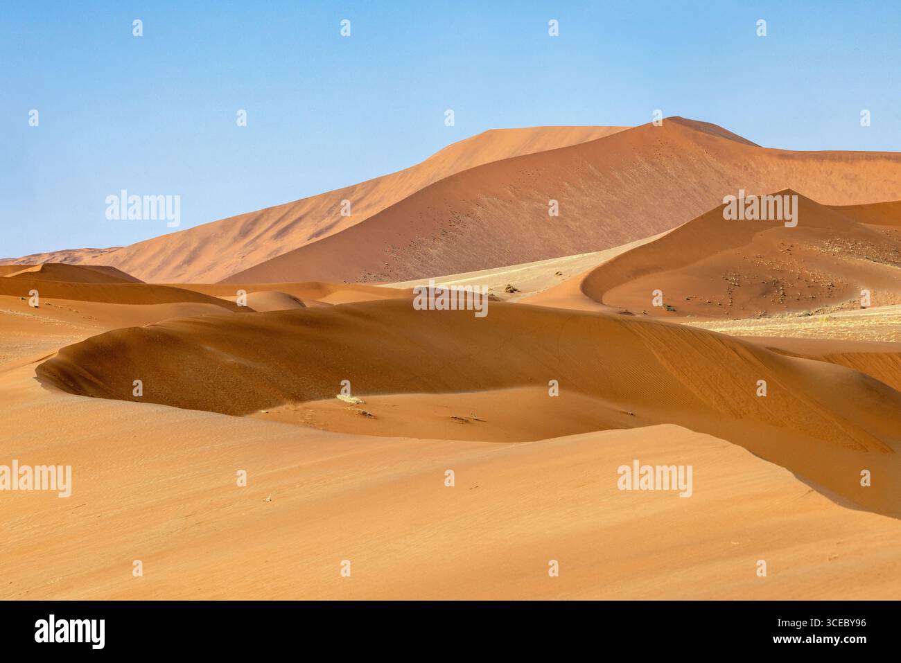 Dunes de sable extra-terrestres près de Sossusvlei dans le parc national Namib-Naukluft, Namibie, Afrique Banque D'Images