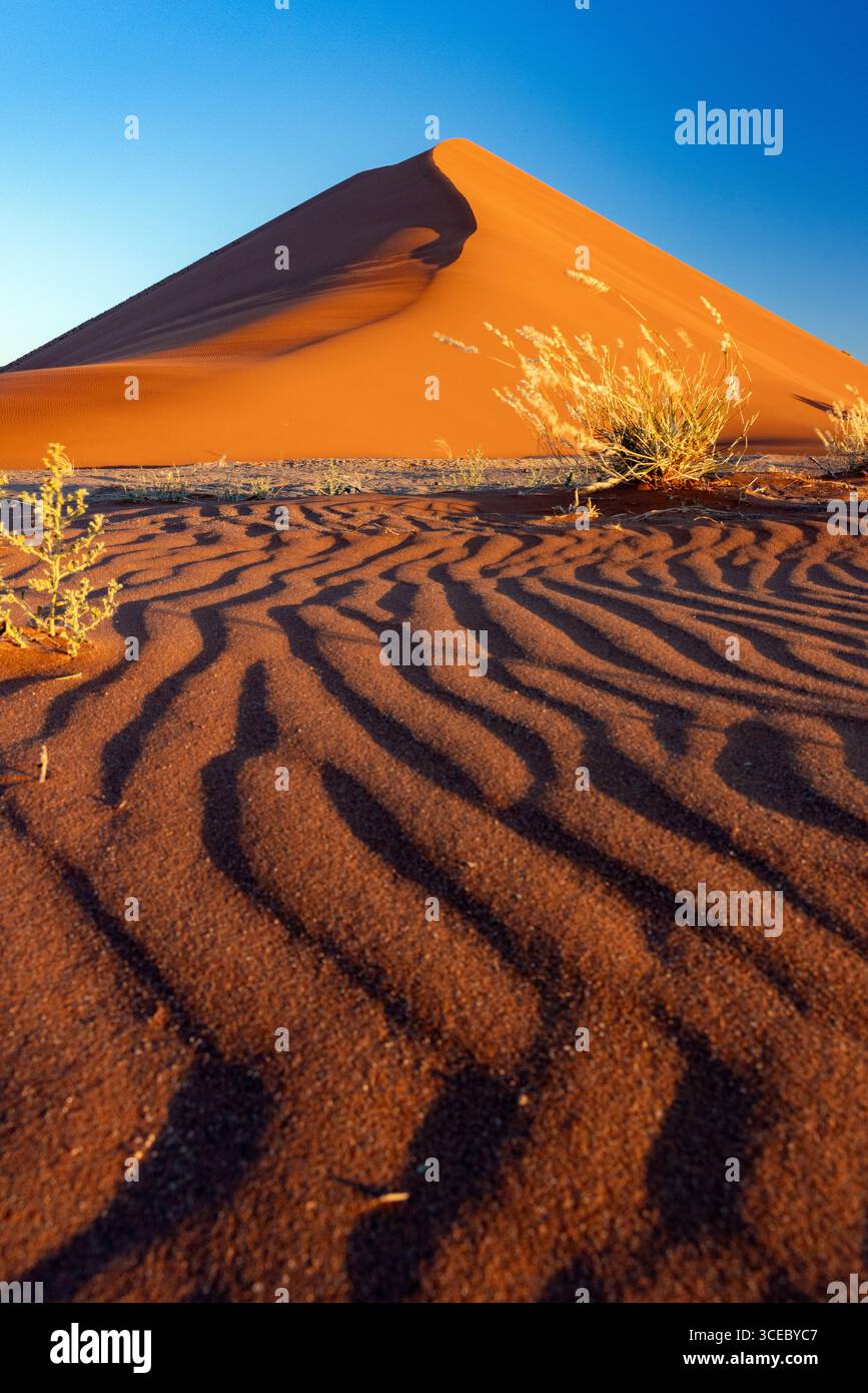 Anciennes dunes rouges dans le parc national Namib-Naukluft, Namibie, Afrique Banque D'Images