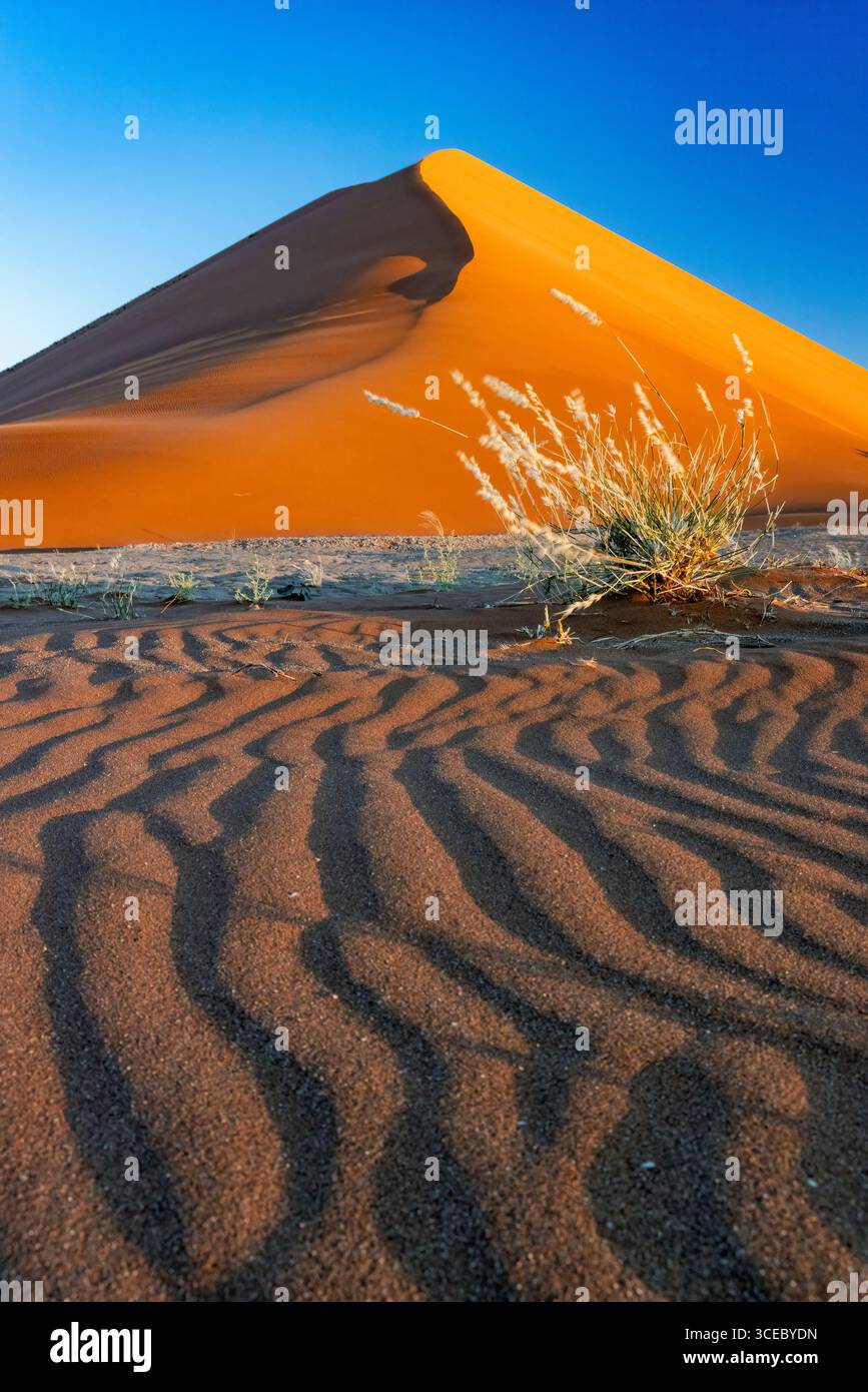 Anciennes dunes rouges dans le parc national Namib-Naukluft, Namibie, Afrique Banque D'Images