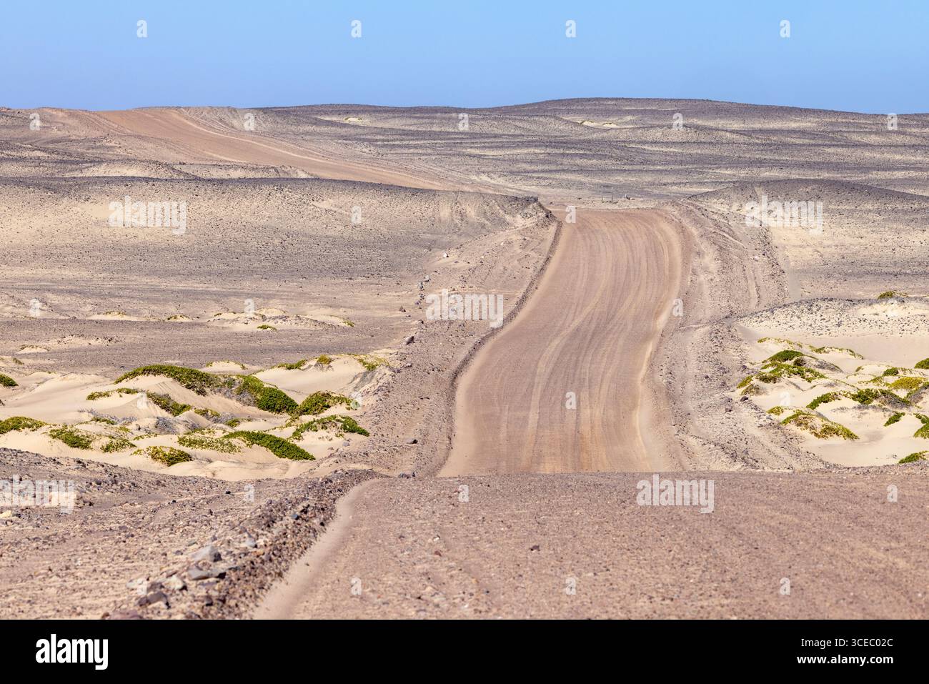 Route désolée dans le parc national de Skeleton Coast, Namibie, Afrique Banque D'Images