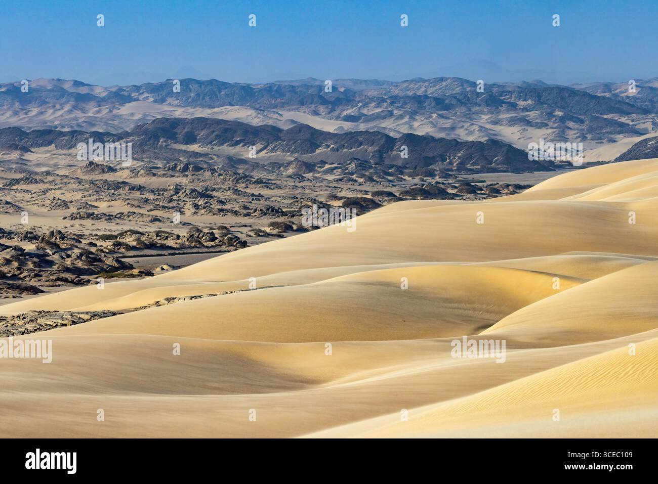 Paysage de dunes de sable extraordinaire près de Shipwreck Lodge - Skeleton Coast National Park, Namibie, Afrique Banque D'Images