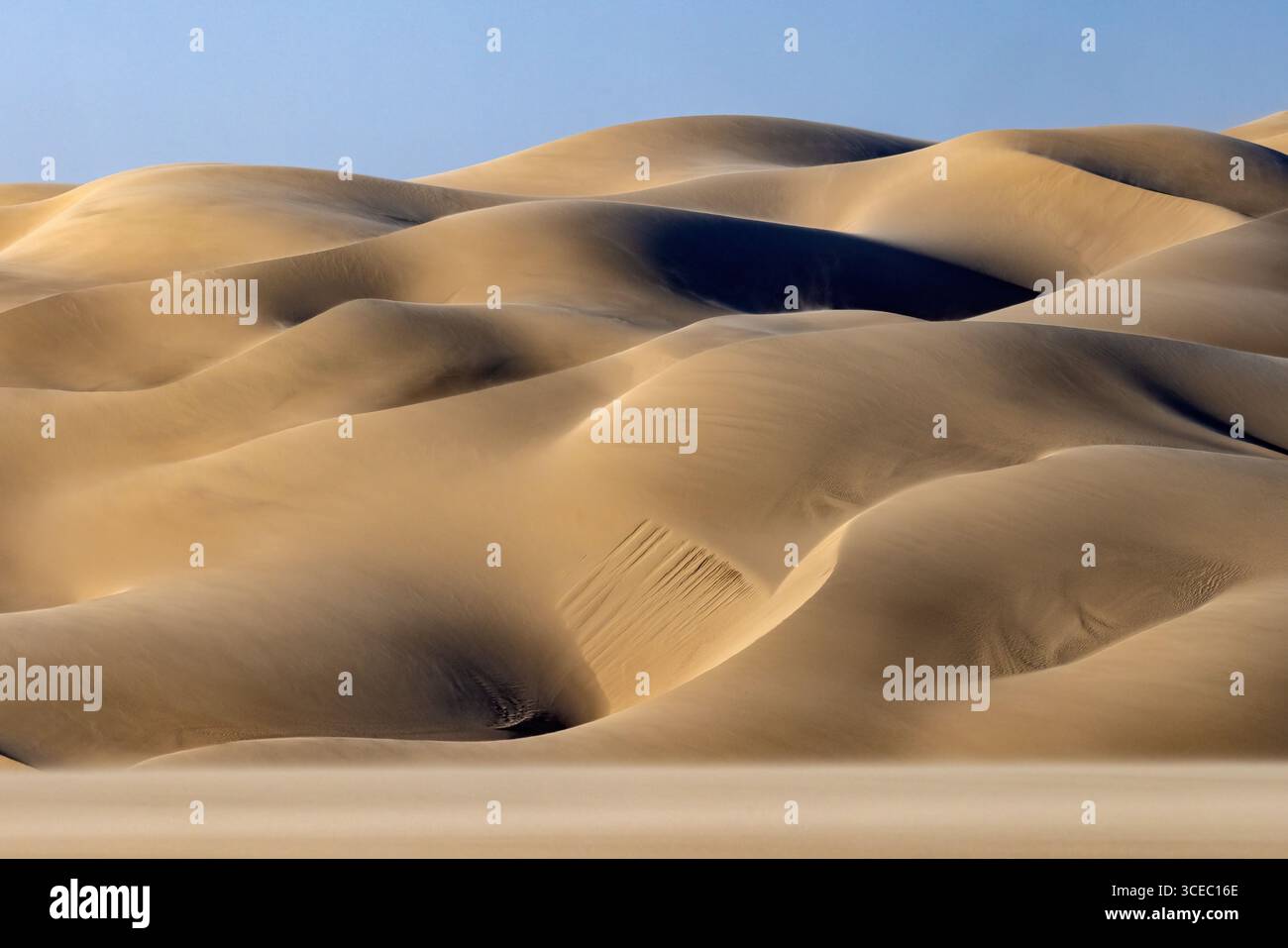 Paysage de dunes de sable extraordinaire près de Shipwreck Lodge - Skeleton Coast National Park, Namibie, Afrique Banque D'Images