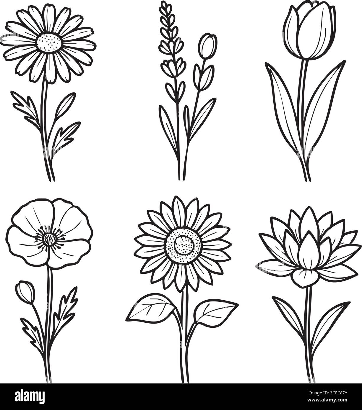 Les fleurs verticales délicates montrent des bourgeons de pétales variés et du feuillage pour des projets de décoration botanique et de coloration. Illustration de Vecteur