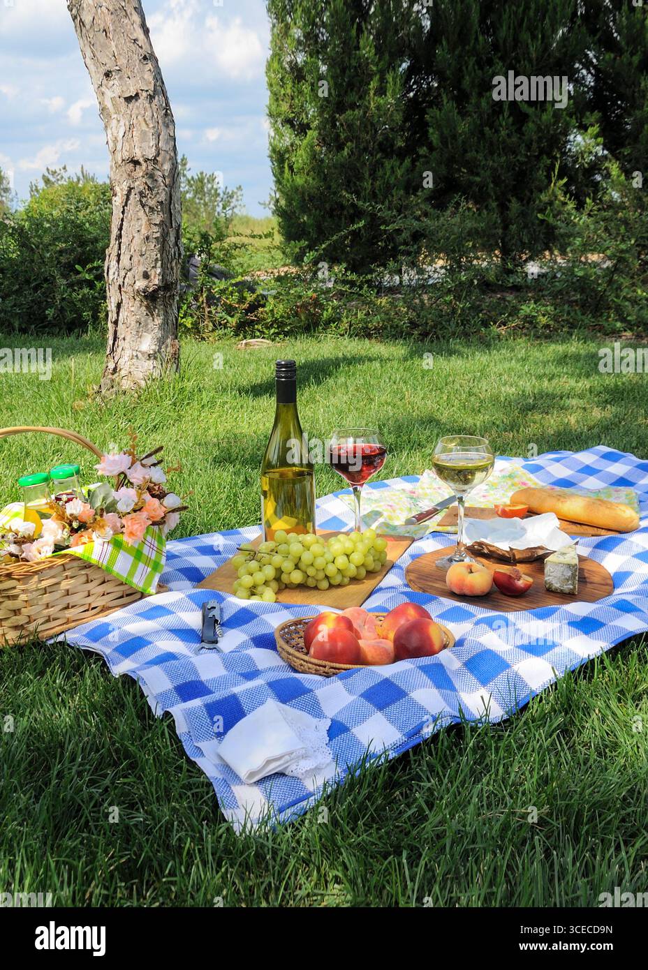 Un pique-nique un jour d'été avec des fruits, du fromage et deux verres de vin sur une couverture à carreaux sur la pelouse Banque D'Images