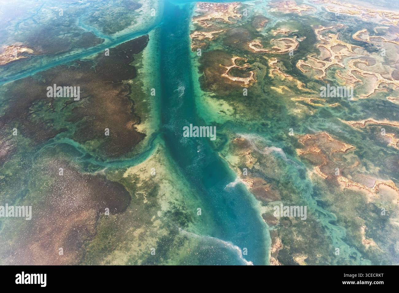 Vue aérienne des motifs complexes et colorés des zones humides à San Vicente de la Barquera, Cantabrie, Espagne. Le drone capture les textures riches et v Banque D'Images