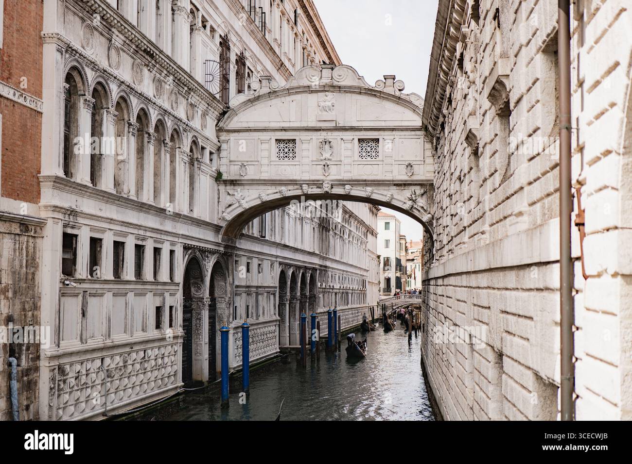 Architecture étonnante de Venise, Italie, comme capturé dans cette image d'un pont de pierre emblématique sur un canal tranquille, mettant en valeur des détails complexes et cl Banque D'Images