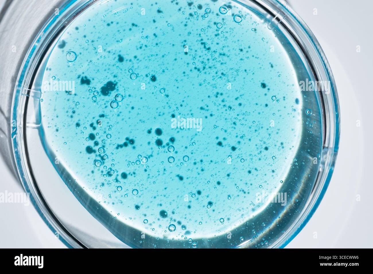 Une vue rapprochée d'un gel cosmétique bleu vif avec des bulles visibles, contenu dans une boîte de Petri circulaire en verre sur fond blanc, montrant la texture A. Banque D'Images