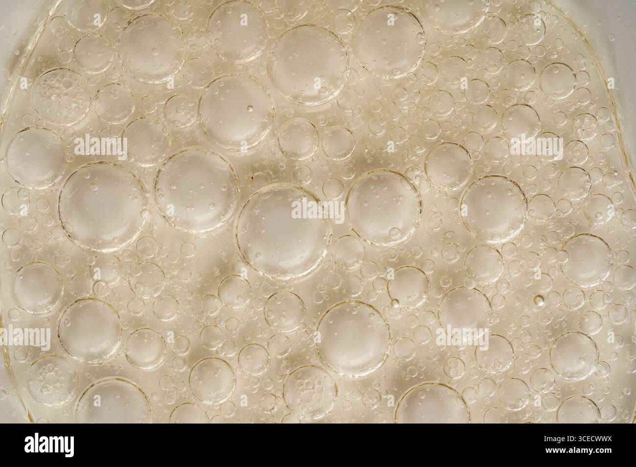Macro vue rapprochée de l'huile avec des bulles sur une surface transparente, mettant en valeur des motifs circulaires abstraits. La texture met en valeur les détails complexes Banque D'Images