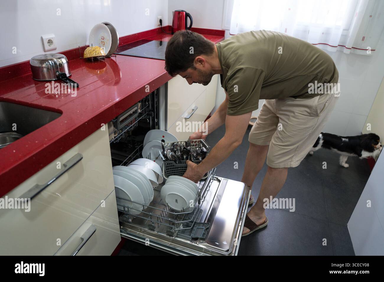 Un homme charge de la vaisselle propre et des couverts dans un lave-vaisselle, mettant en valeur une corvée domestique typique. La cuisine est moderne et bien rangé, avec un chien à proximité o Banque D'Images