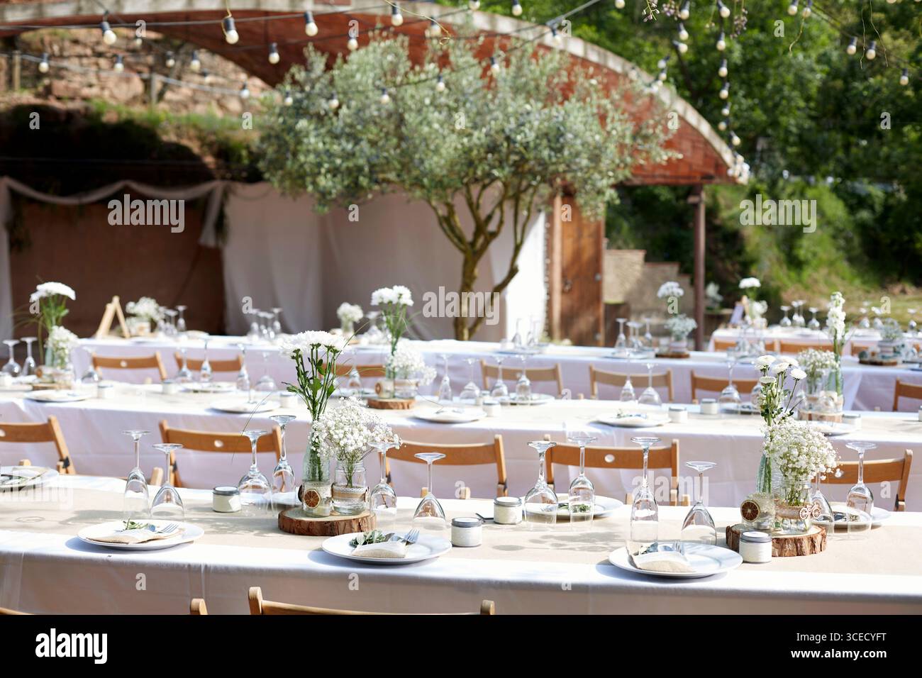 Élégante configuration de table de mariage boho avec des fleurs blanches dans des vases en verre sur des tables et des chaises en bois. Guirlande de lumières et de verdure créent un romantique et pictu Banque D'Images