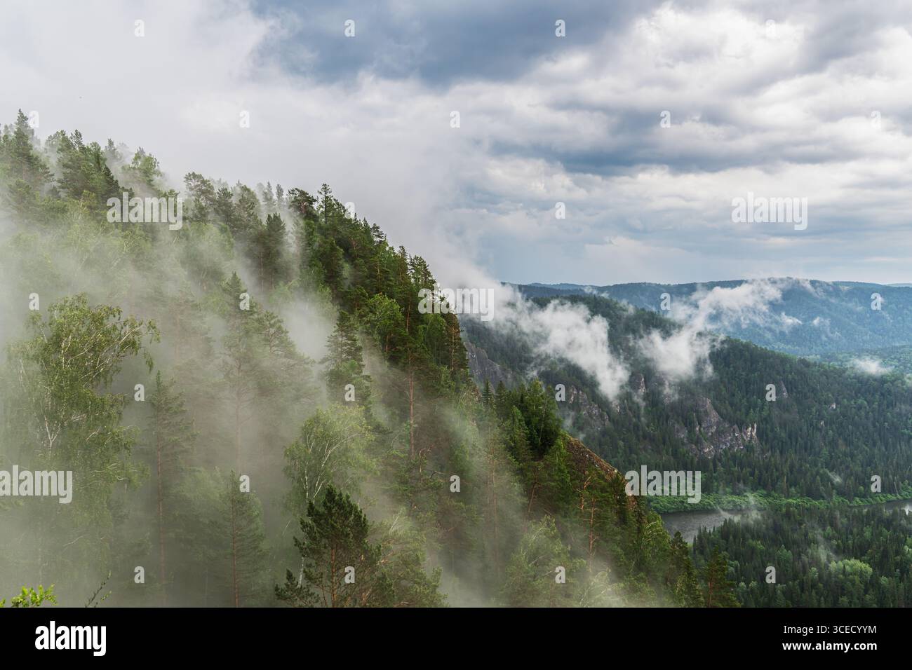 Une vue à couper le souffle présente des arbres verdoyants accrochés aux collines abruptes entourées de brume. Les nuages planent au-dessus, créant une atmosphère éthérée w Banque D'Images
