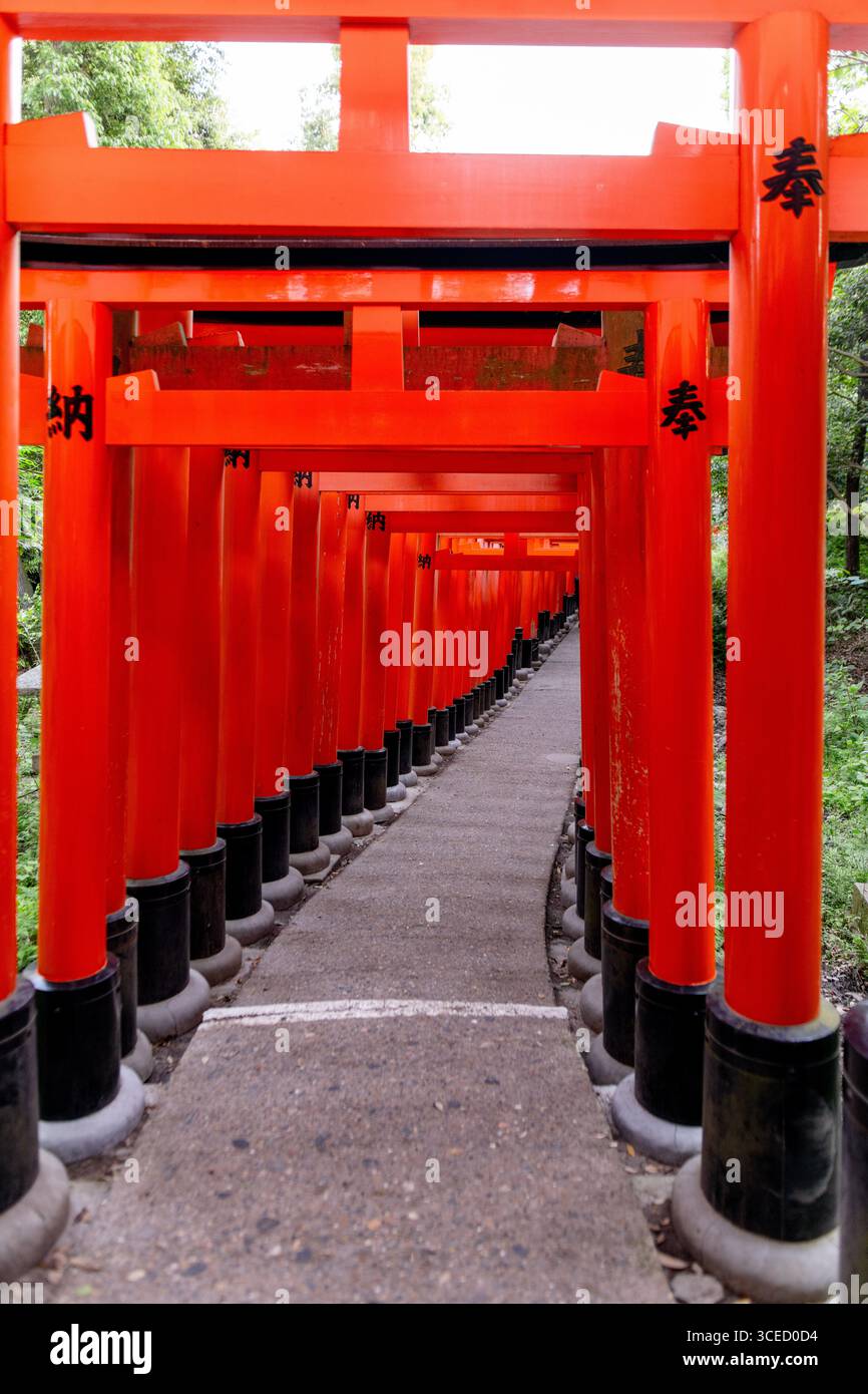 Un sentier fascinant à travers les portes emblématiques vermillon torii à Fushimi Inari-taisha, Kyoto, Japon, mettant en valeur l'architecture traditionnelle shinto dans un Banque D'Images