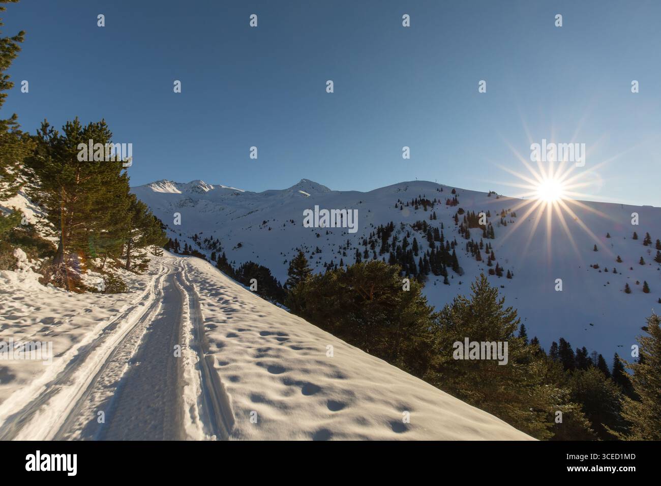 Un sentier de motoneige pittoresque serpente à travers un paysage de montagne enneigé serein sous un ciel bleu clair, avec le soleil brillant sur la cime des arbres, cre Banque D'Images