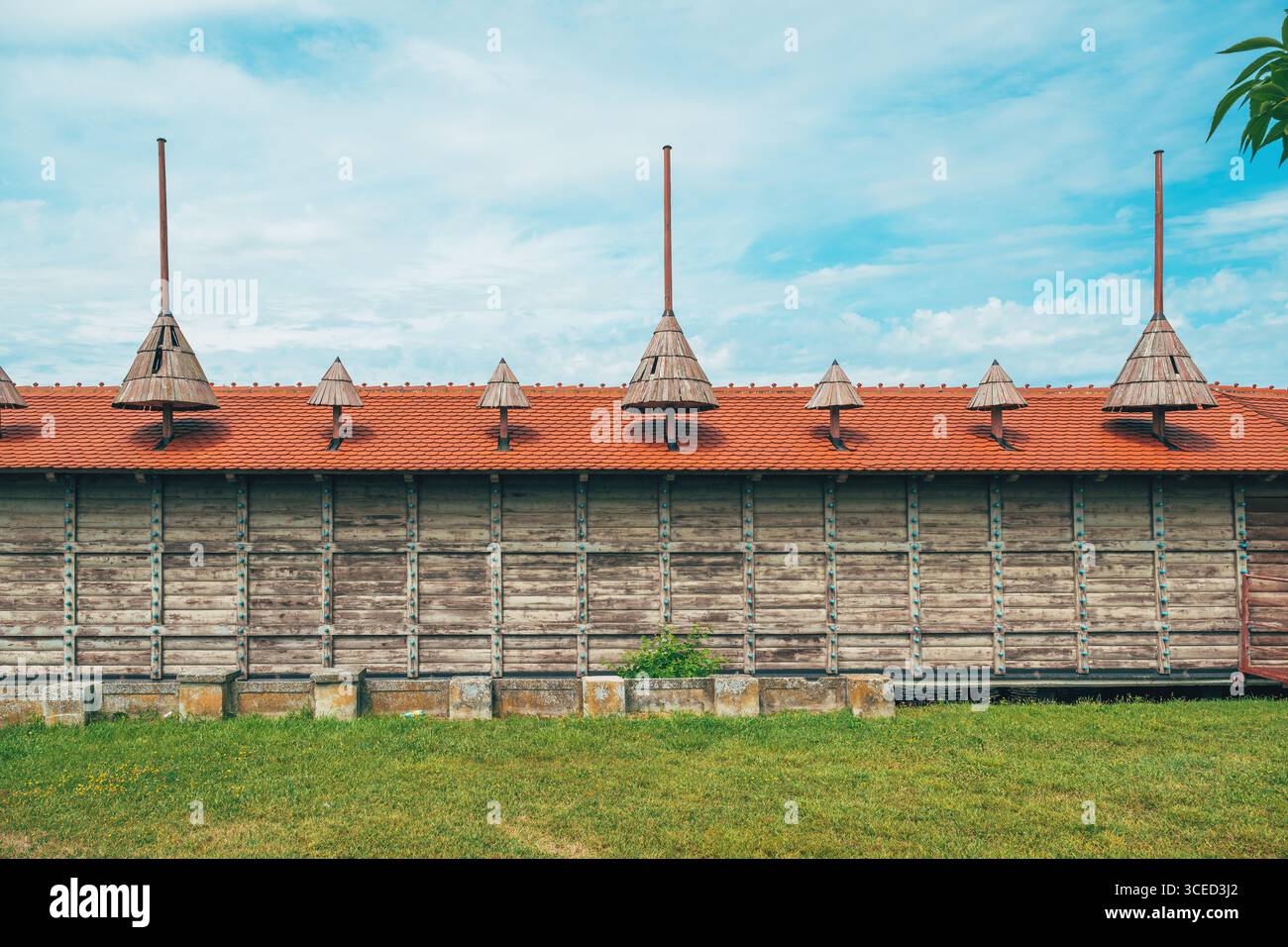 Hangar à bateaux traditionnel en bois avec des détails ornés sur le lac Palic, Serbie, s'étendant au-dessus de l'eau verte calme sous un ciel d'été lumineux. Mise au point sélective Banque D'Images