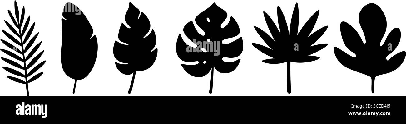 Silhouettes de feuilles tropicales noires minimalistes. Icônes de feuillage vectoriel solides pour la jungle, l'été et les projets de conception botanique Illustration de Vecteur