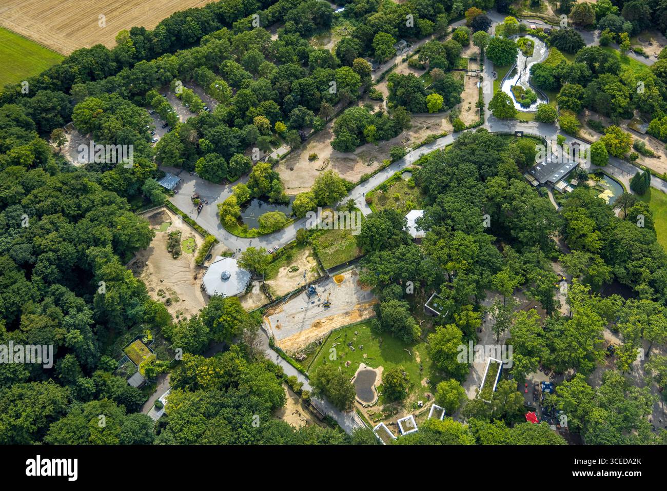 Luftbild, Zoo Dortmund, Rombergpark-Lücklemberg, Dortmund, Ruhrgebiet, Nordrhein-Westfalen, Deutschland ACHTUNGxMINDESTHONORARx60xEURO *** vue aérienne, Dortmund Zoo, Rombergpark Lücklemberg, Dortmund, Ruhr area, Rhénanie du Nord-Westphalie, Allemagne ATTENTIONxMINDESTHONORARx60xEURO Banque D'Images