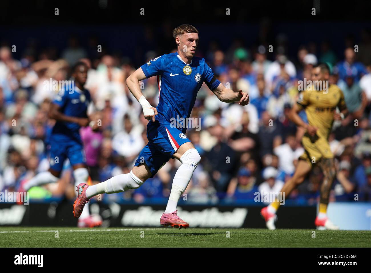 LONDRES, Royaume-Uni - 17 août 2025 : Cole Palmer de Chelsea lors du match de premier League entre Chelsea FC et Crystal Palace FC à Stamford Bridge (crédit : Craig Mercer/ Alamy Live News) Banque D'Images LONDRES, Royaume-Uni - 17 août 2025 : Cole Palmer de Chelsea lors du match de premier League entre Chelsea FC et Crystal Palace FC à Stamford Bridge (crédit : Craig Mercer/ Alamy Live News) Banque D'Images