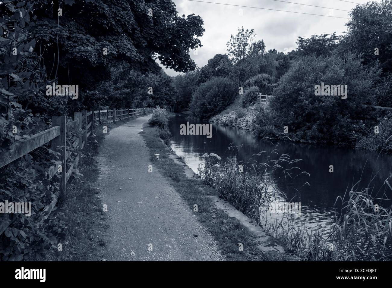 Scène monochrome spectaculaire sur le Huddersfield Narrow canal, mettant en valeur ses eaux tranquilles, ses chemins de halage et ses rives luxuriantes et envahies par la végétation Banque D'Images