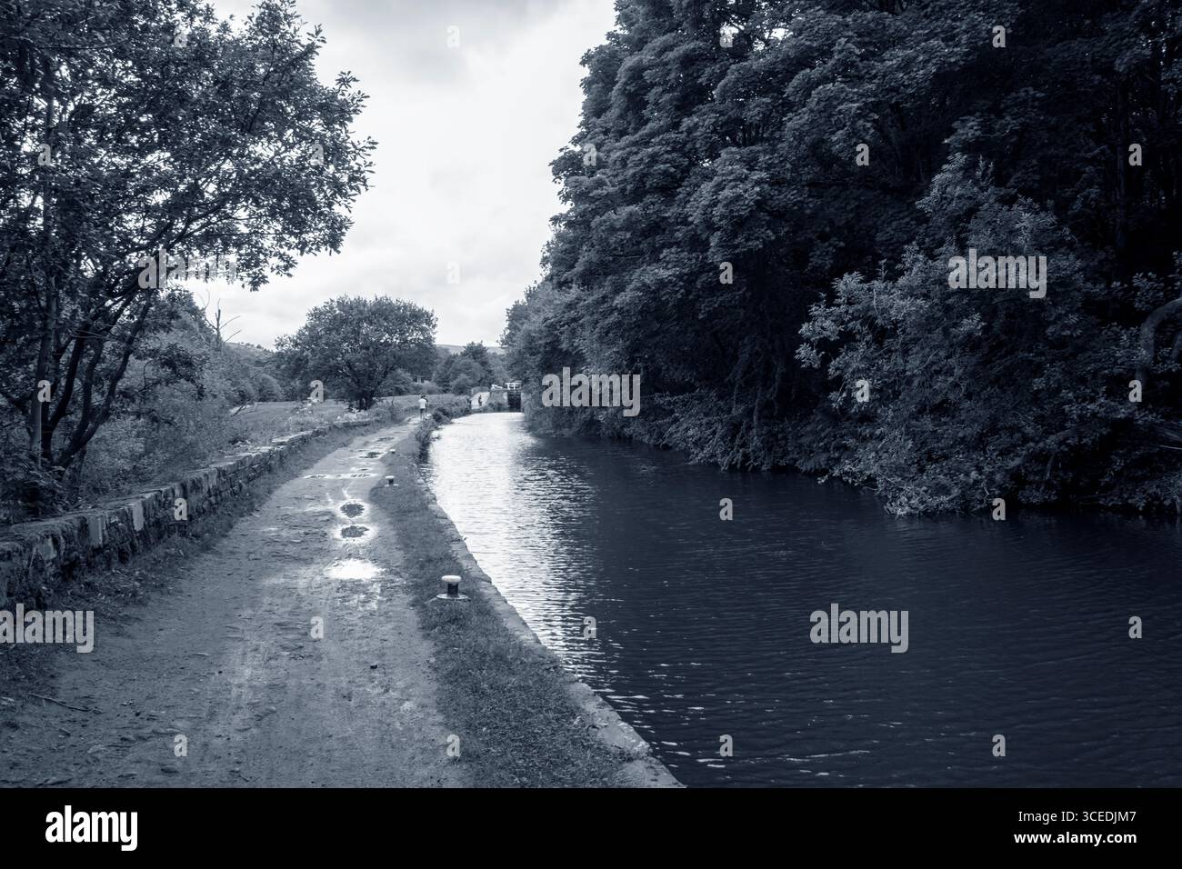 Scène monochrome spectaculaire sur le Huddersfield Narrow canal, mettant en valeur ses eaux tranquilles, ses chemins de halage et ses rives luxuriantes et envahies par la végétation Banque D'Images