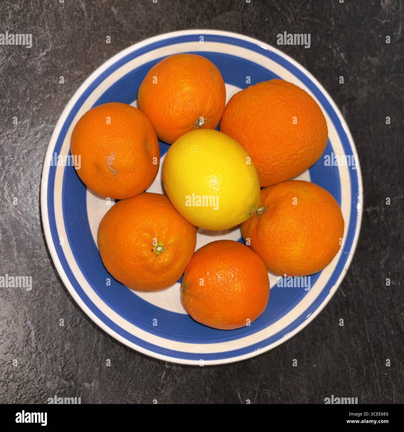 Un bol de fruits blancs avec des rayures bleues rempli d'oranges et d'un citron jaune. Banque D'Images